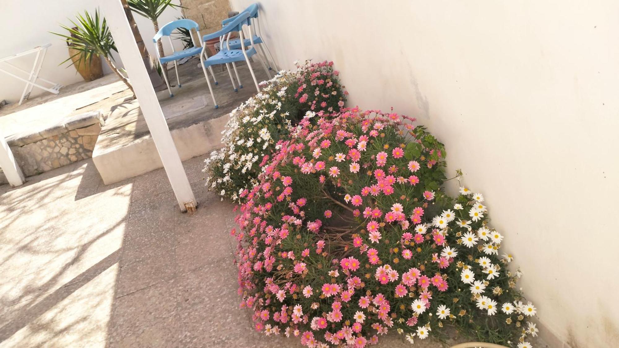 Casa Antonio E Nicoletta Holiday home